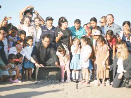 Eduardo Ramírez encabeza liberación de tortugas marinas en Puerto Arista