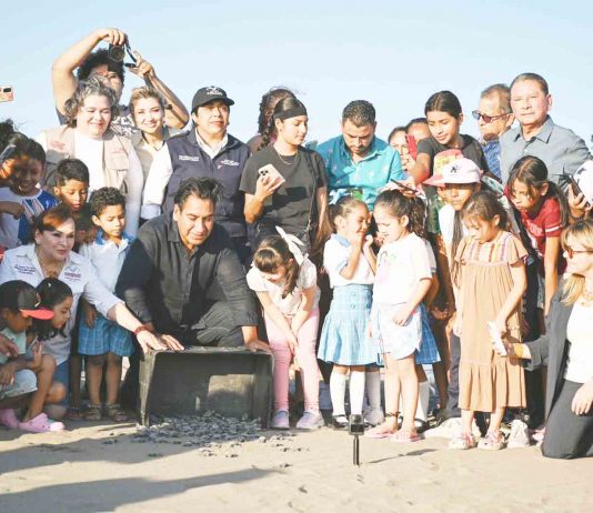 Eduardo Ramírez encabeza liberación de tortugas marinas en Puerto Arista