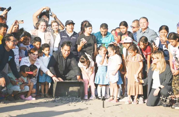 Eduardo Ramírez encabeza liberación de tortugas marinas en Puerto Arista