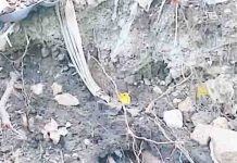 Denuncian contaminación del arroyo Totoposte
