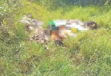 Macabro hallazgo | Localizan cadáveres amontonados en paraje de Jitotol jitotol